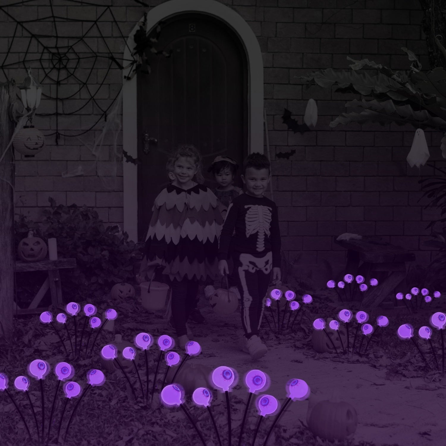 Halloween Solar Eyeball Lights – 2-Pack Purple/Green, IP65 Waterproof