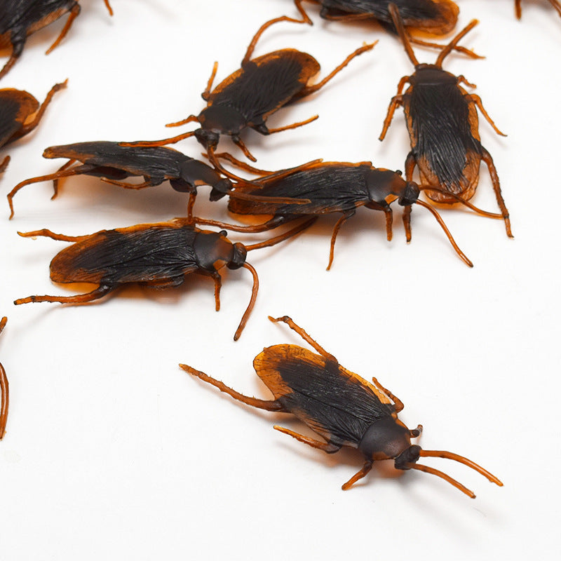 Realistic Cockroach Prank Toy – Halloween Scary Decoration