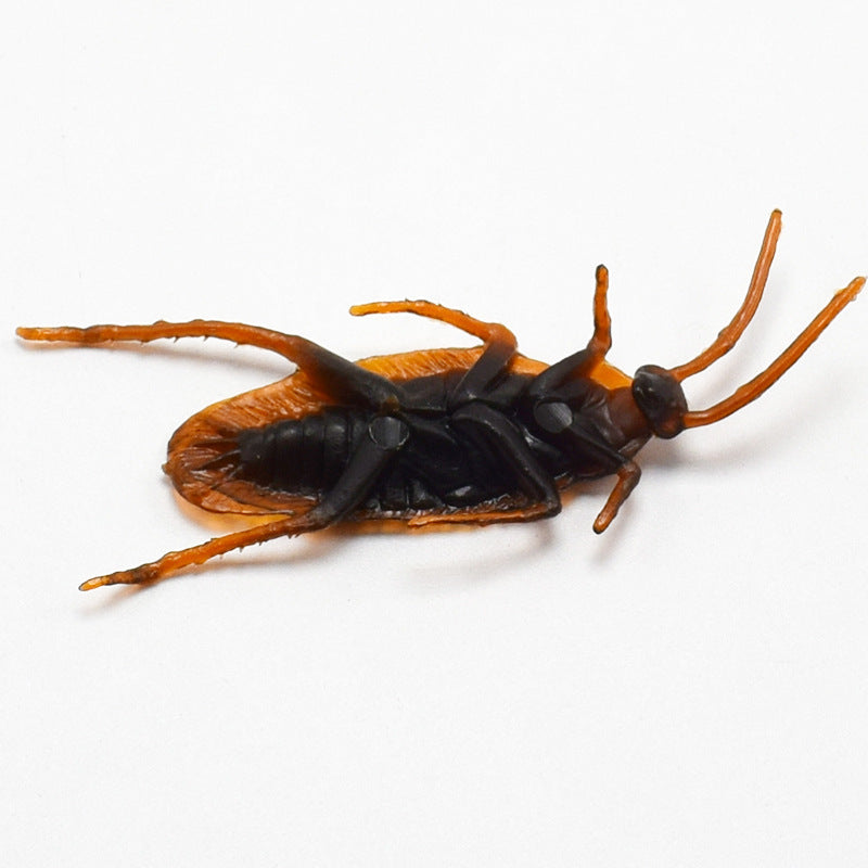 Realistic Cockroach Prank Toy – Halloween Scary Decoration