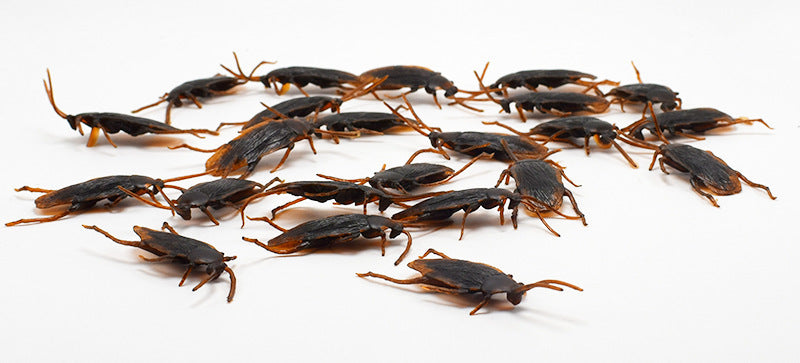 Realistic Cockroach Prank Toy – Halloween Scary Decoration